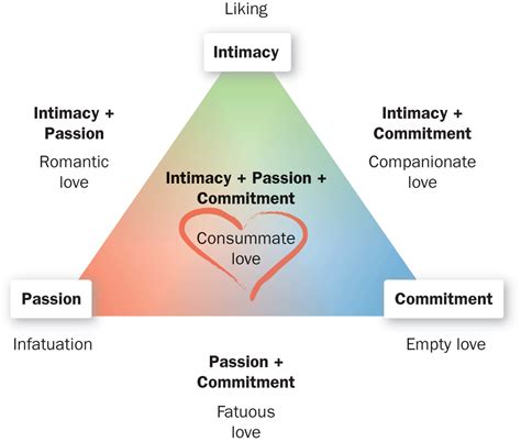 Theories of Love: Definition, Examples & Predictions