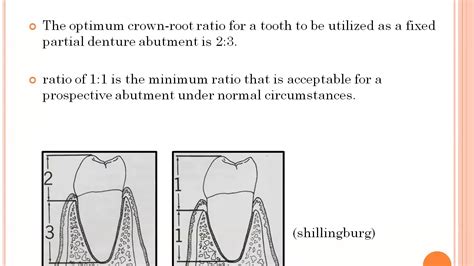 Theory and practice of crown and fixed partial prosthodontics. - Service manual for 2011 fatboy lo.