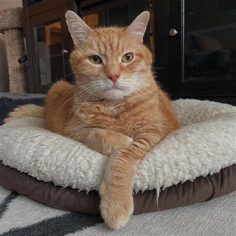 😈 Thepeaches2 Leaks [SEX VIDEO]