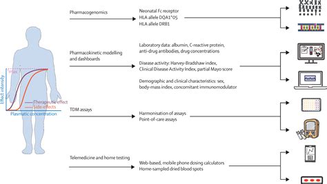 Therapeutic drug monitoring of biologics in inflammatory bowel …