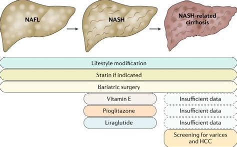 Therapeutic pipeline in nonalcoholic steatohepatitis