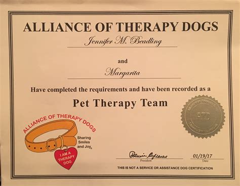 Therapy dog certification. Therapy dogs come in all sizes and breeds. The most important characteristic those that certify therapy animals account for is the temperament. The best therapy dogs are patient, friendly, gentle, confident, and easy-going. If a dog does not enjoy human contact, particularly with strangers, it is unlikely to adjust well to therapy … 