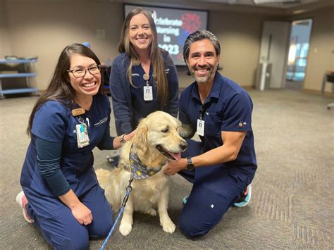Therapy dog visits St. David's North Austin for National Nurses Week