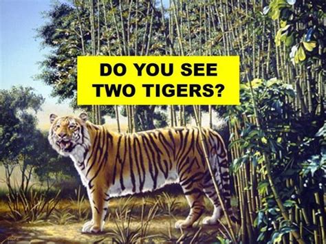 There Are 2 Tigers In This Optical Illusion. Can You Find The …