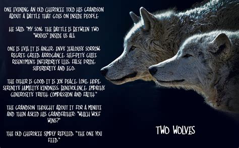 There are two wolves