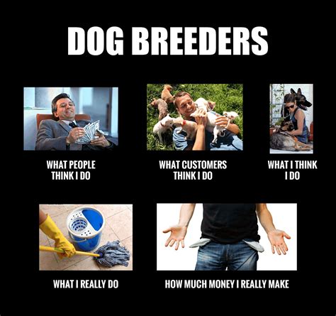 Therefore, use a reptutable breeder that has invested in the dogs they use for their breeding programs and that raise them as their own family members