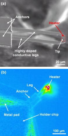 Thermal conduction from microcantilever heaters in partial …