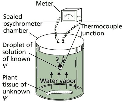 Thermocouple Psychrometer Water Potential? The 11 New Answer