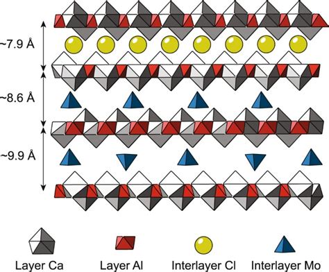 Thermodynamic and crystallographic model for anion uptake by …