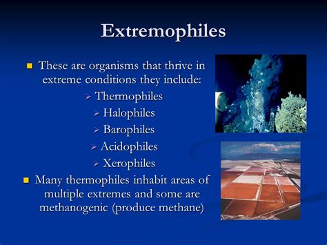 Thermophilic and halophilic extremophiles - ScienceDirect