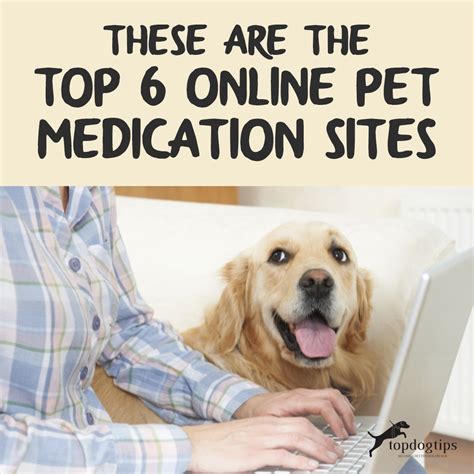 These Are The Top 6 Online Pet Medication Sites - Top Dog Tips