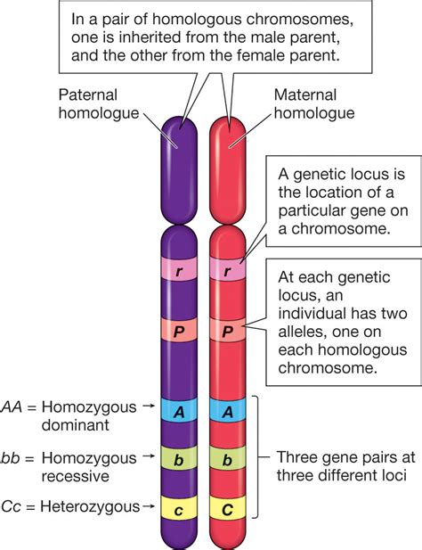 These DNA differences may be linked to having same
