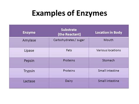 These enzymes are very important as they can easily break down all the extra chemicals that drugs through in the blood and safely remove it from the body