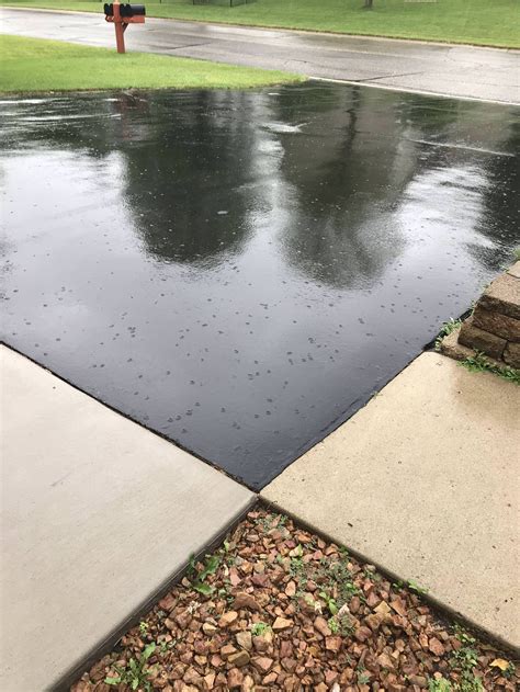 These jellylike blobs that appeared all over the driveway in the rain