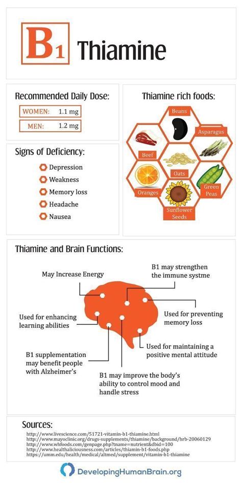 Thiamin Facts - Herbfacts