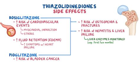 Thiazolidinediones (Glitazones): Uses, Dosages, Side-effects