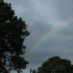 🔥 Thiccbabyem Onlyfans Leak XXX 54 Pics