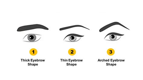 Thick eyebrows meaning.  How to use thick in a sentence.  THICK definition: having relatively g...