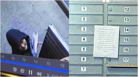 Thieves caught on camera breaking into condo mailboxes
