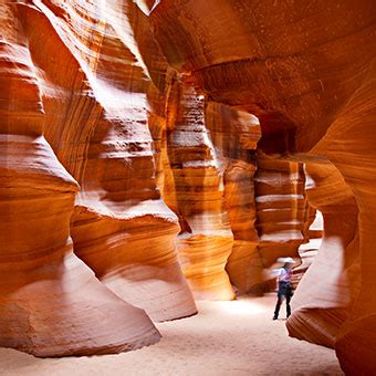 Things To Do in Apache Junction and Gold Canyon Arizona