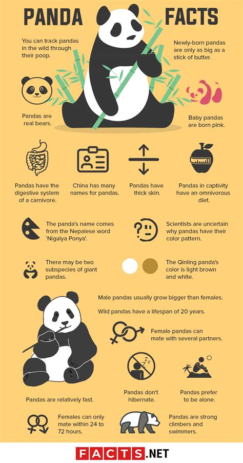 The Panda's Habitat. The giant panda's habitat is locat
