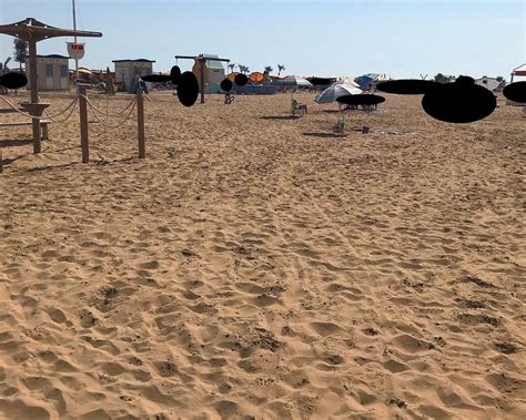 Things to Do in Bibione - Tripadvisor