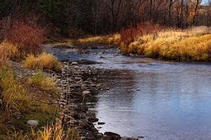 Things to Do in Fish Creek This Weekend Eventbrite