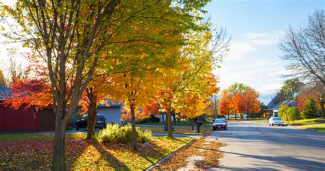 Things to Do in Minnesota St. Cloud