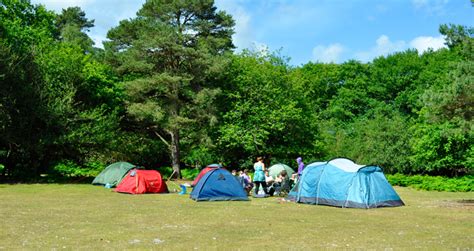 Things to do Ocknell and Longbeech Campsite - Camping in the Forest