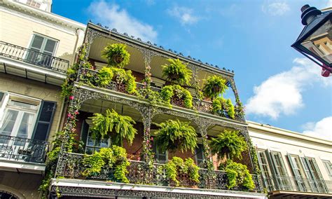 Things to do in New Orleans - getyourguide.com