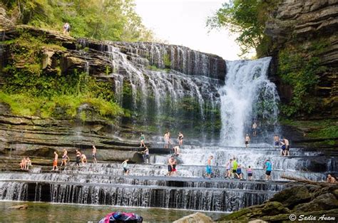 Things to do in cookeville tn. Mar 20, 2021 ... For Nature Lovers: If you haven't been to Ijams Nature Center, it's a must! It features over 12 miles of hiking trails that range from easy to ... 