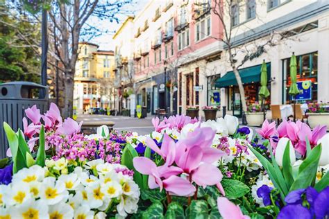 Things to do in san jose today. Happy March, San Jose. 🌸 If you’re anything like us, you’re ecstatic about the sunny days, blooming flowers, and spring on the horizon — and with all that excitement, you’re also looking for fun local events to attend. Read on for all the top events happening this month in the great 408. Note: COVID-19 protocols can change rapidly. Please make … 