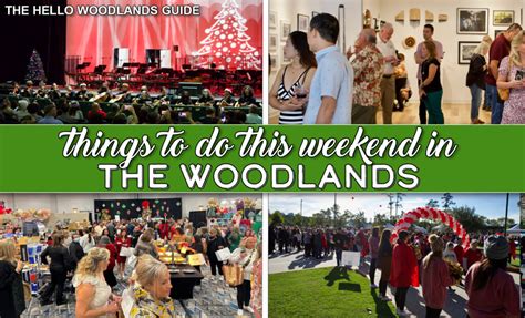 Things to do in the Capital Region this weekend: November 10-12