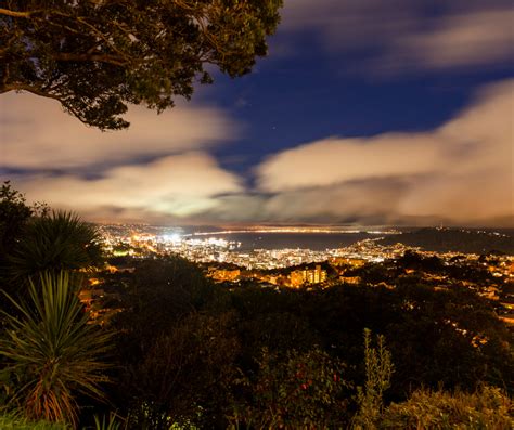 Things to do in wellington in winter