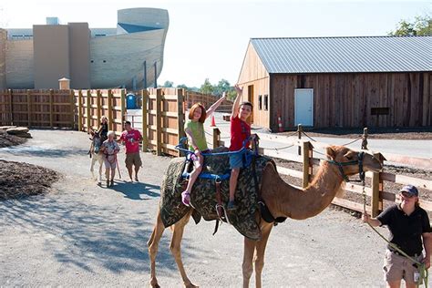 Things to do in williamstown ky. 13-Aug-2020 ... ... do our very best to open everything we ... Williamstown, KY (Complete Walkthrough) ... Ark Encounter Visit with Kids What to Expect // Overview ... 