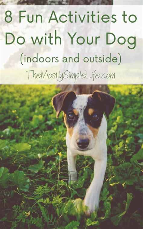 Things to do with dogs. If you’re looking for a great place to take your pup for some outdoor fun, look no further than your local dog park. Dog parks provide a safe and secure environment for your pup to... 