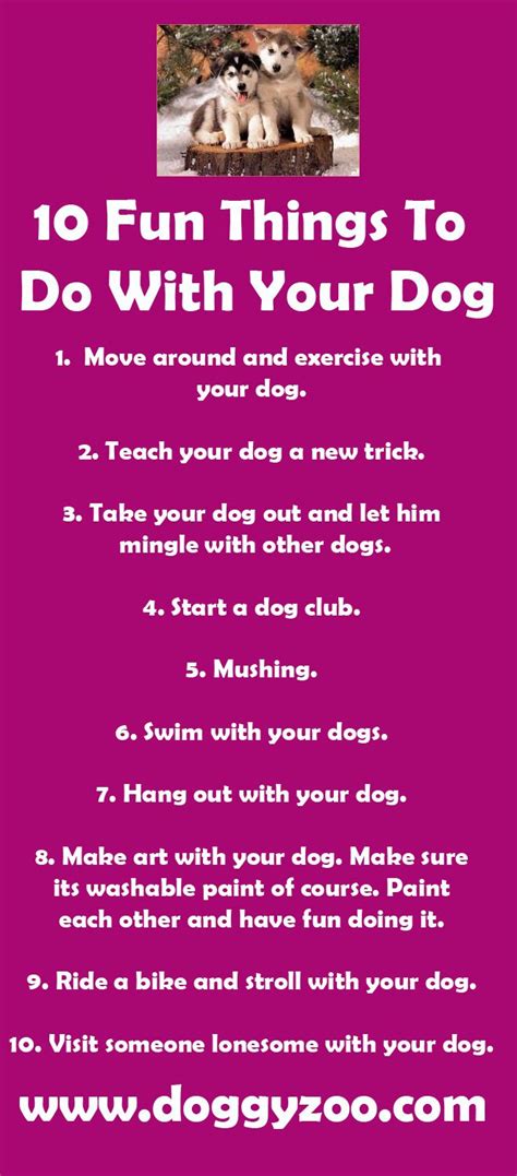 Things to do with your dog. As long as your dog can hold things, they can help you wash car tires, carry things around the apartment or while out and about running errands, even retrieve ... 