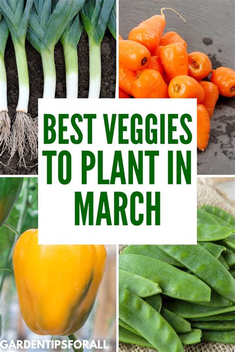 Things to plant in march