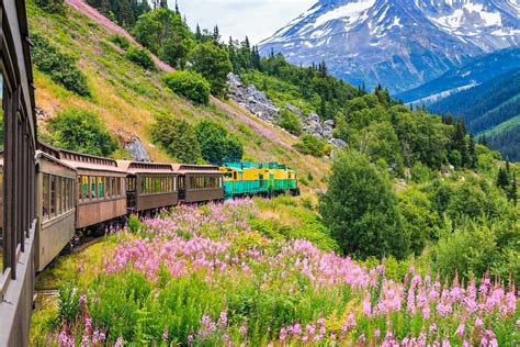 Things to visit in alaska