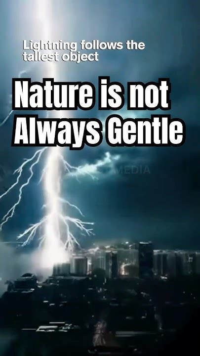 Think Nature Isn&rsquo;t Queer? Go Fish.