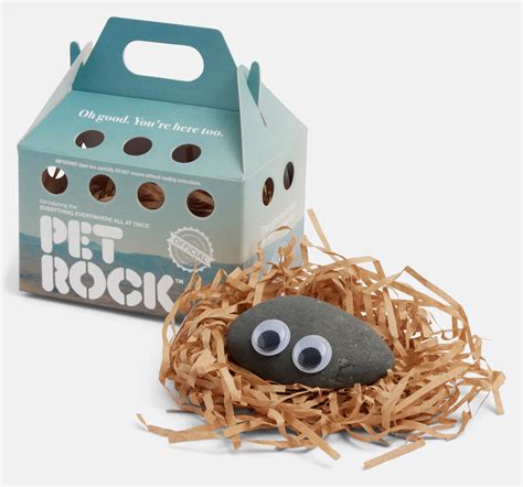 Thinkgeek moon rock.  It comes packaged in a protective shell with a c...