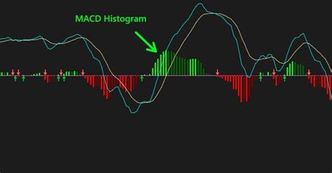 Thinkorswim macd script. .  ...