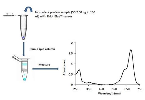 Thiol Detection Assay Kit