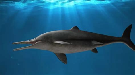 This 130 million-year-old ichthyosaur was a