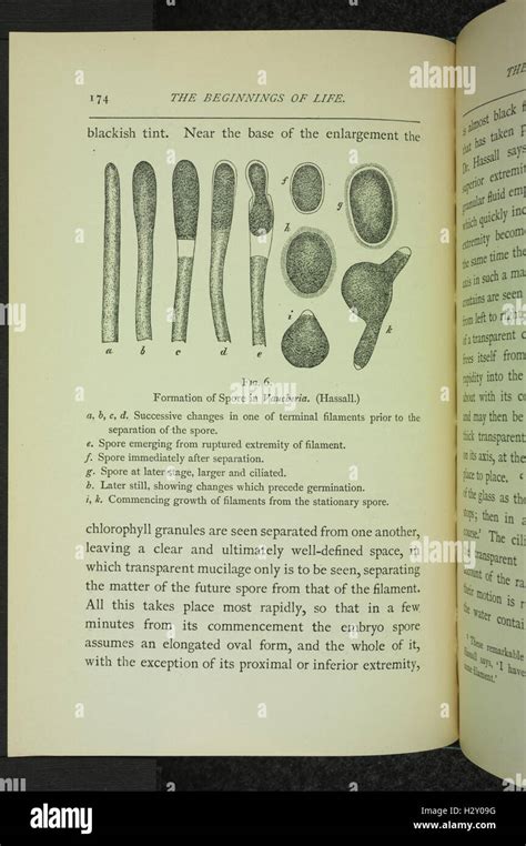 This Section first examines