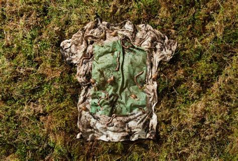 This T-Shirt Is Made From Algae And 100% Biodegradable In 12 …