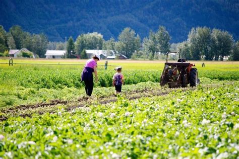 This U-Pick Vegetable Farm In Alaska Is The Perfect Way To