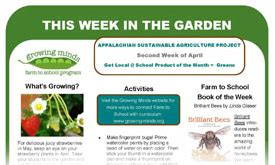 This Week in the Garden Monthly Newsletter Templates