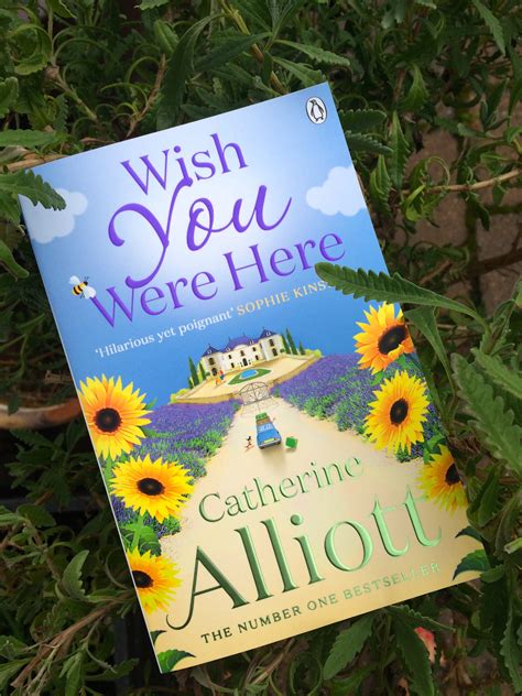 This authoritative and extremely readable