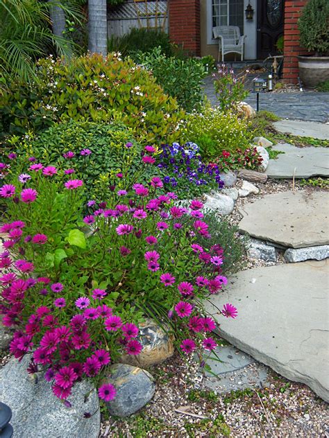 This drought-tolerant plant is eye-catching and easy to grow